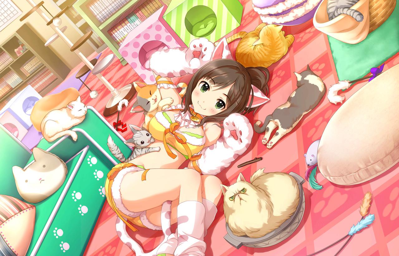 魅惑貓娘（チャーミングキャット）