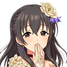 藤原肇